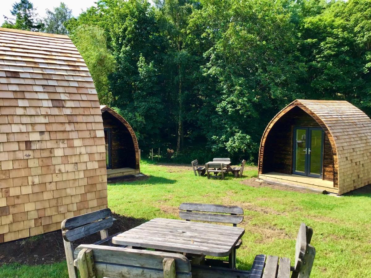 Alder Pod, Clay Bank Huts Hotel Ingleby Greenhow Kültér fotó